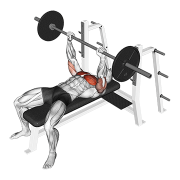 Barbell Flat Bench Press