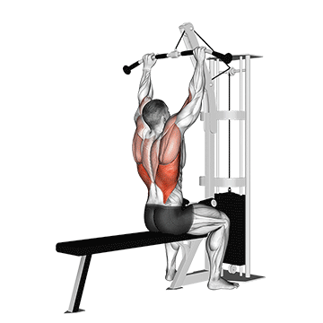 Lat Pulldown